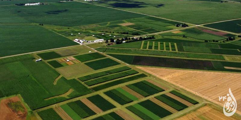 کشاورزان دزفول برای دریافت سند تک برگ اراضی خود اقدام کنند 1 کشاورزان دزفول برای دریافت سند تک برگ اراضی خود اقدام کنند