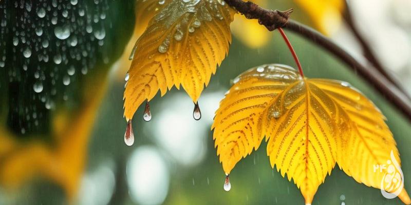 سامانه بارشی فعال و فراگیر چهارشنبه وارد خوزستان میشود 1 سامانه بارشی فعال و فراگیر چهارشنبه وارد خوزستان میشود